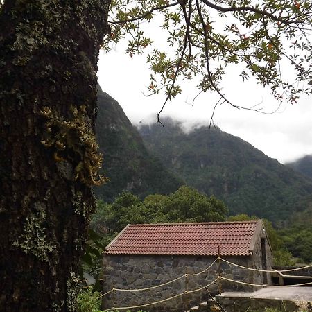 פורטו מוניז Nature Inn Madeira - Glamping מראה חיצוני תמונה