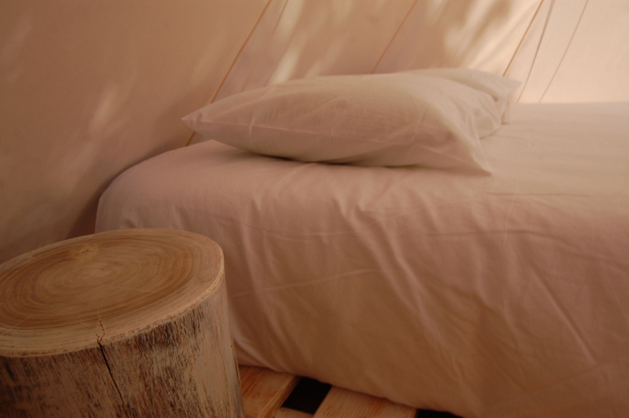 פורטו מוניז Nature Inn Madeira - Glamping מראה חיצוני תמונה