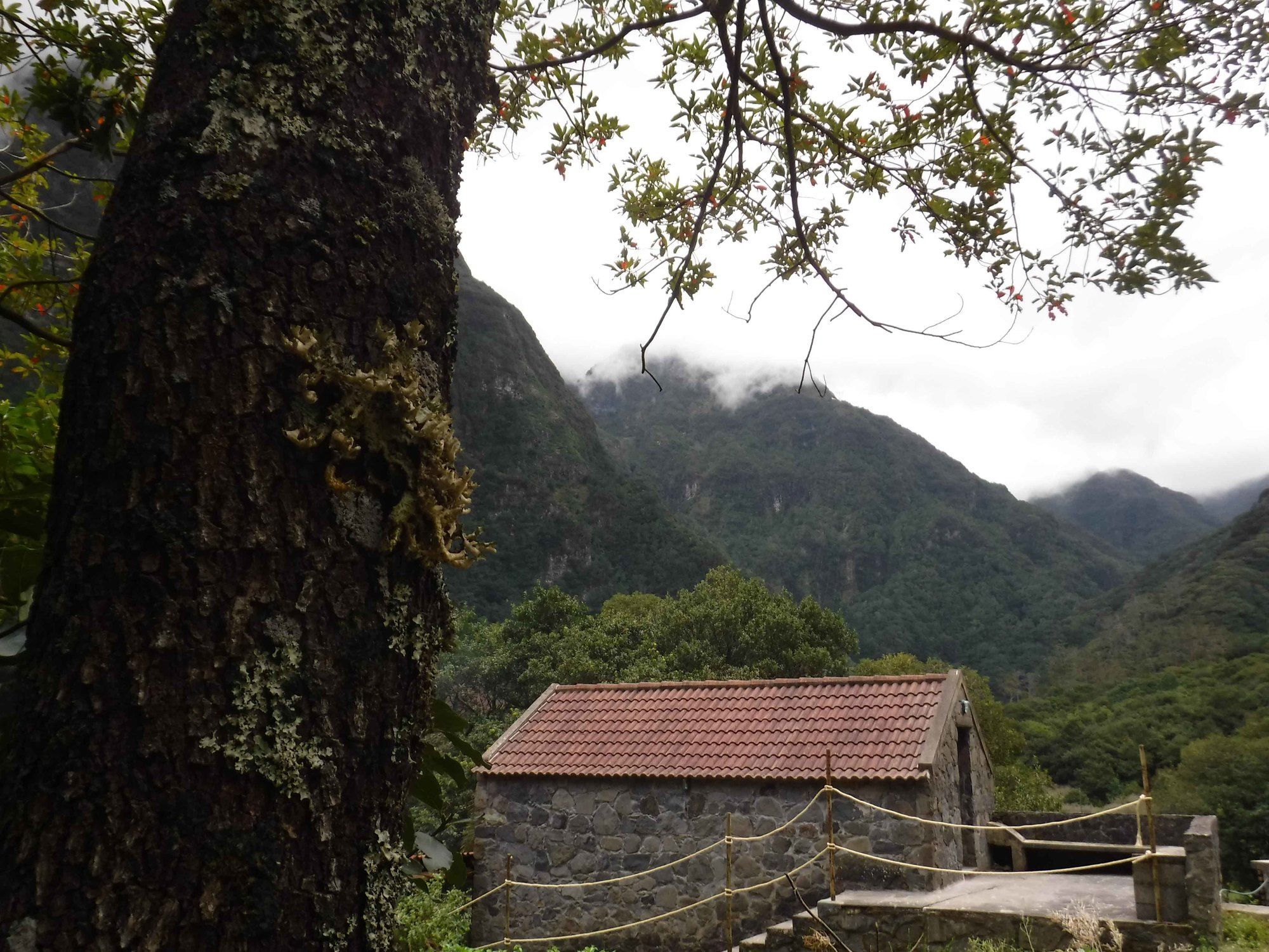 פורטו מוניז Nature Inn Madeira - Glamping מראה חיצוני תמונה